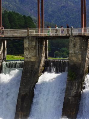 DAMS